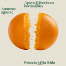 Gomitas Sea Moss Alpha – Potência Masculina & Energia Turbo